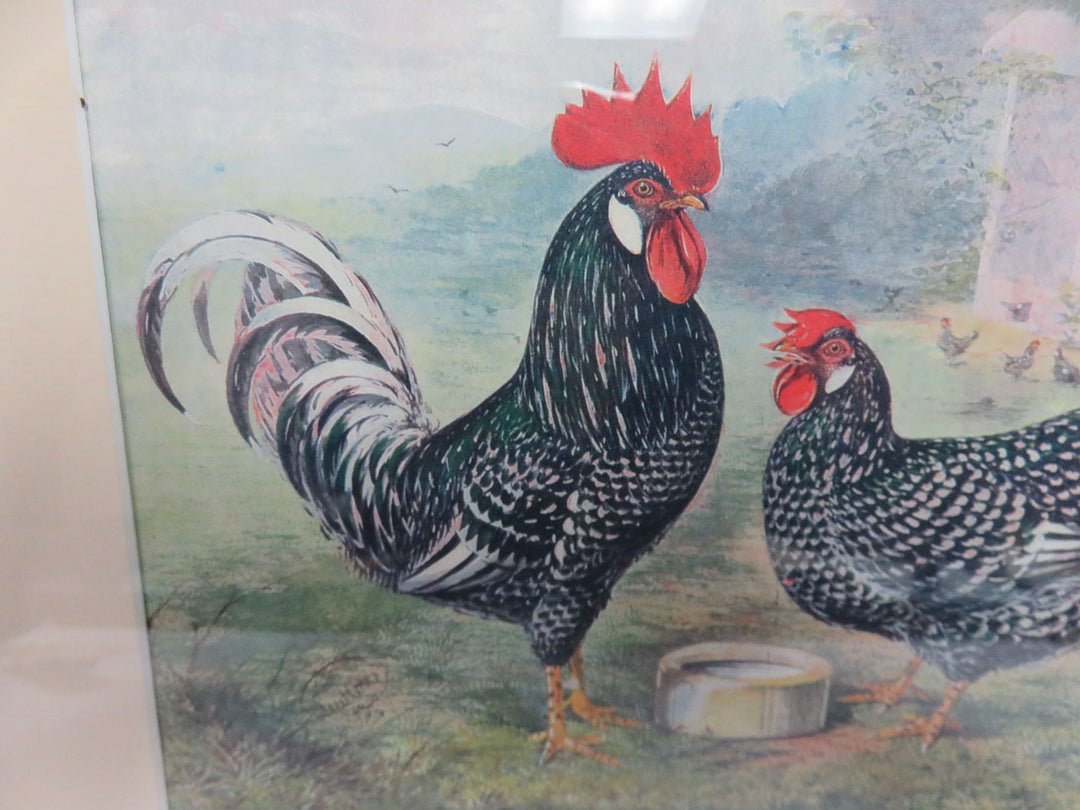 Rooster Print