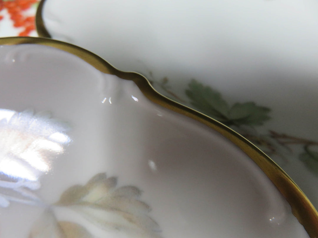 Tirchenrueth Salad Plates