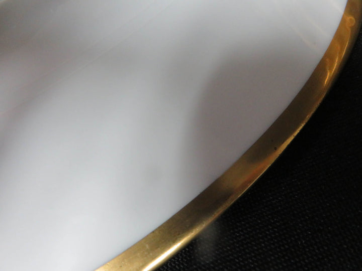 Hutschenreuther Dinner Plates