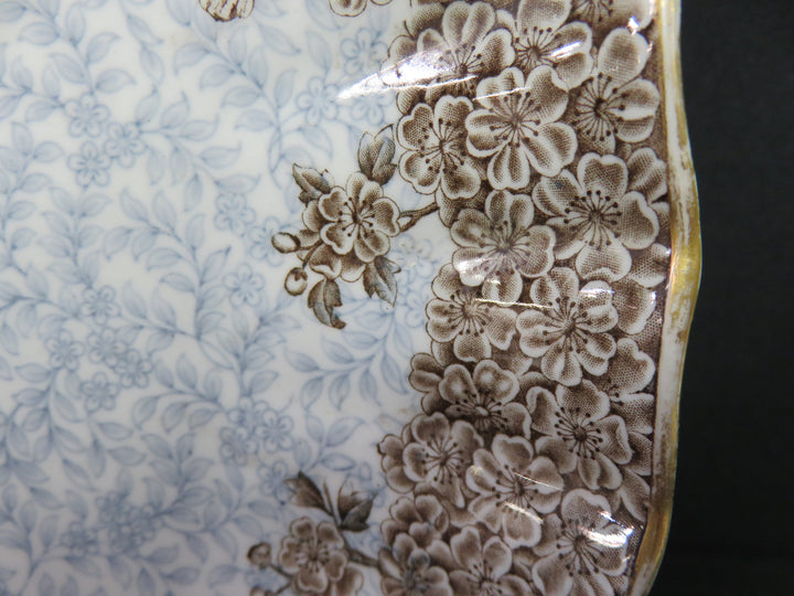 Royal Worcester Plate