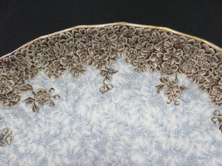 Royal Worcester Plate