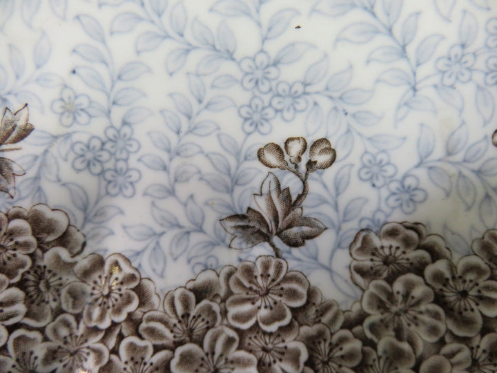 Royal Worcester Plate