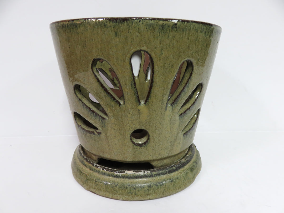 Orchid Pot