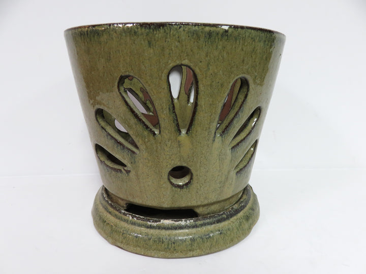 Orchid Pot