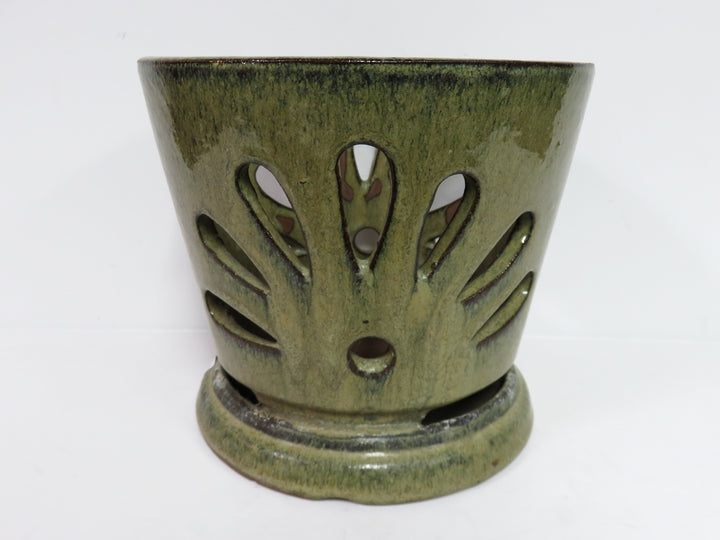 Orchid Pot