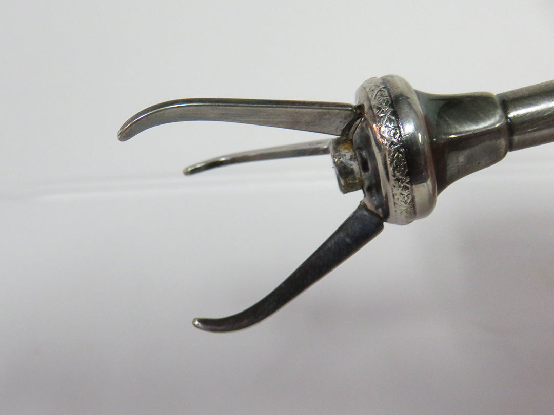 Sugar Cube Prongs