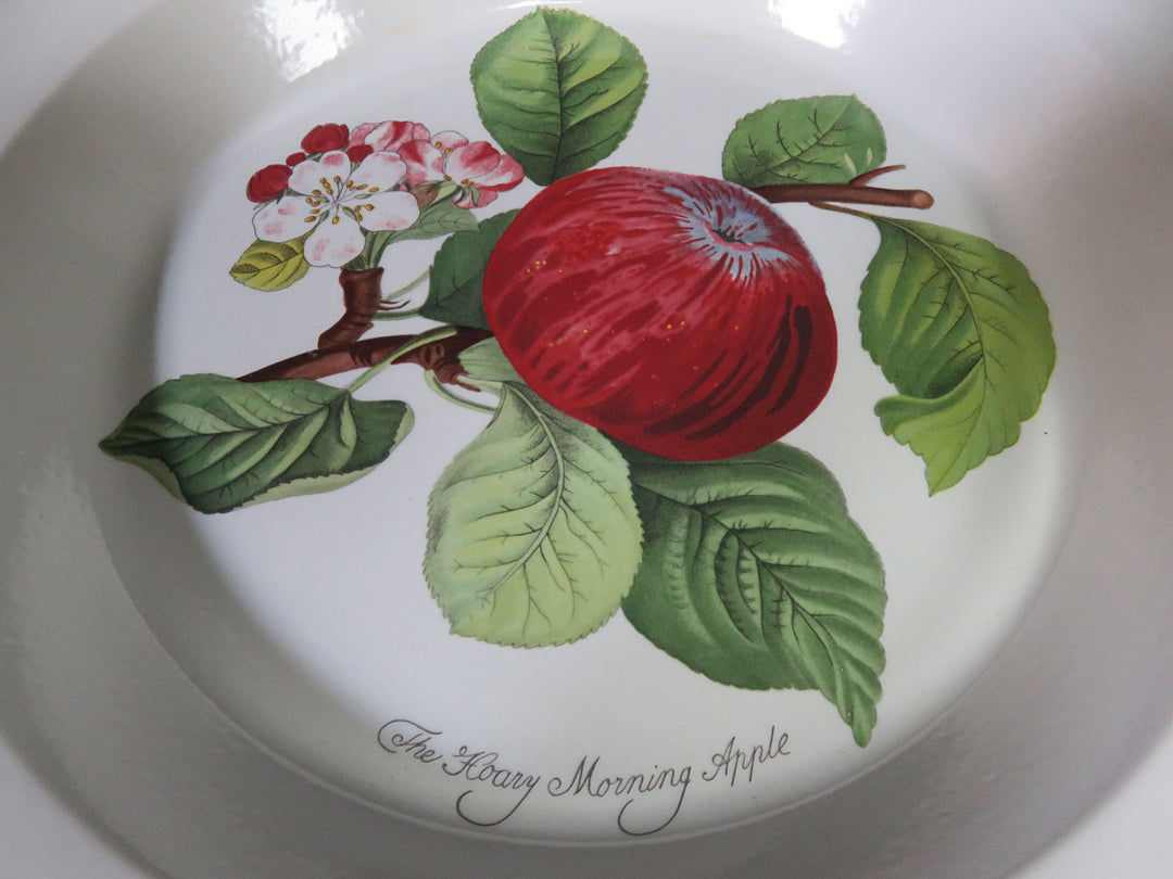 Portmeirion Pie Plate Set
