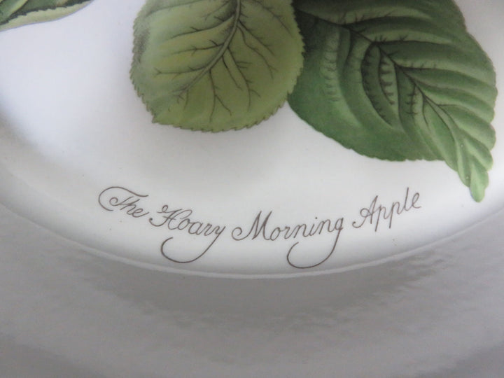Portmeirion Pie Plate Set