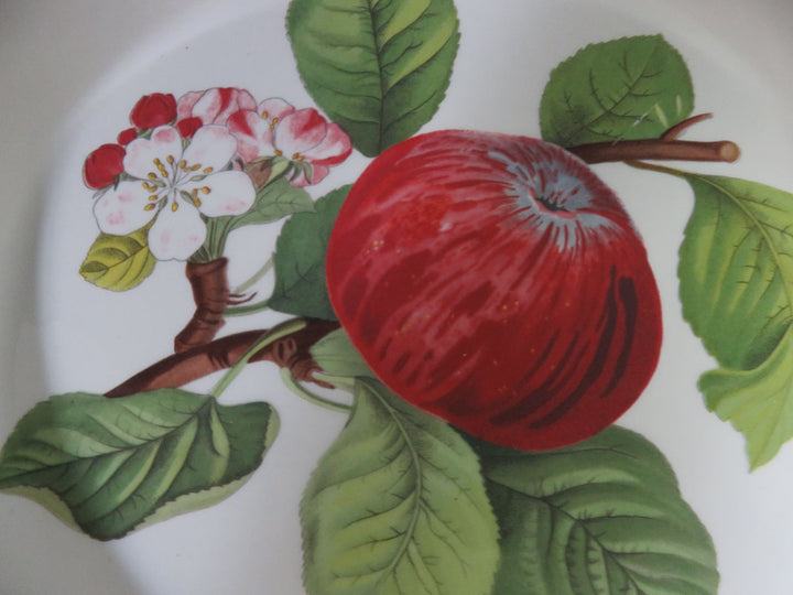 Portmeirion Pie Plate Set