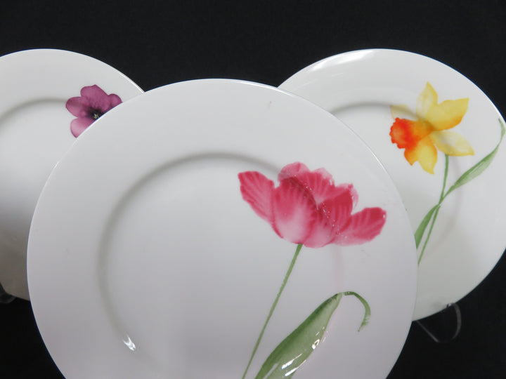 Crate & Barrel Appetizer Plates