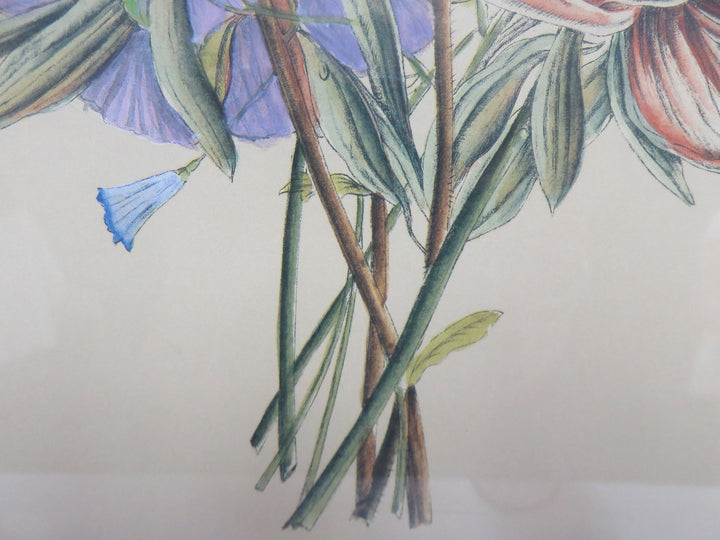 Bombay Botanical Print