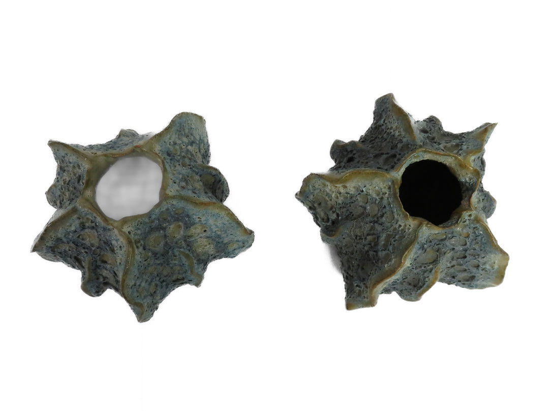 Sea Urchin Pottery Vessels