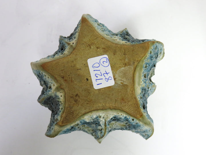 Sea Urchin Pottery Vessels