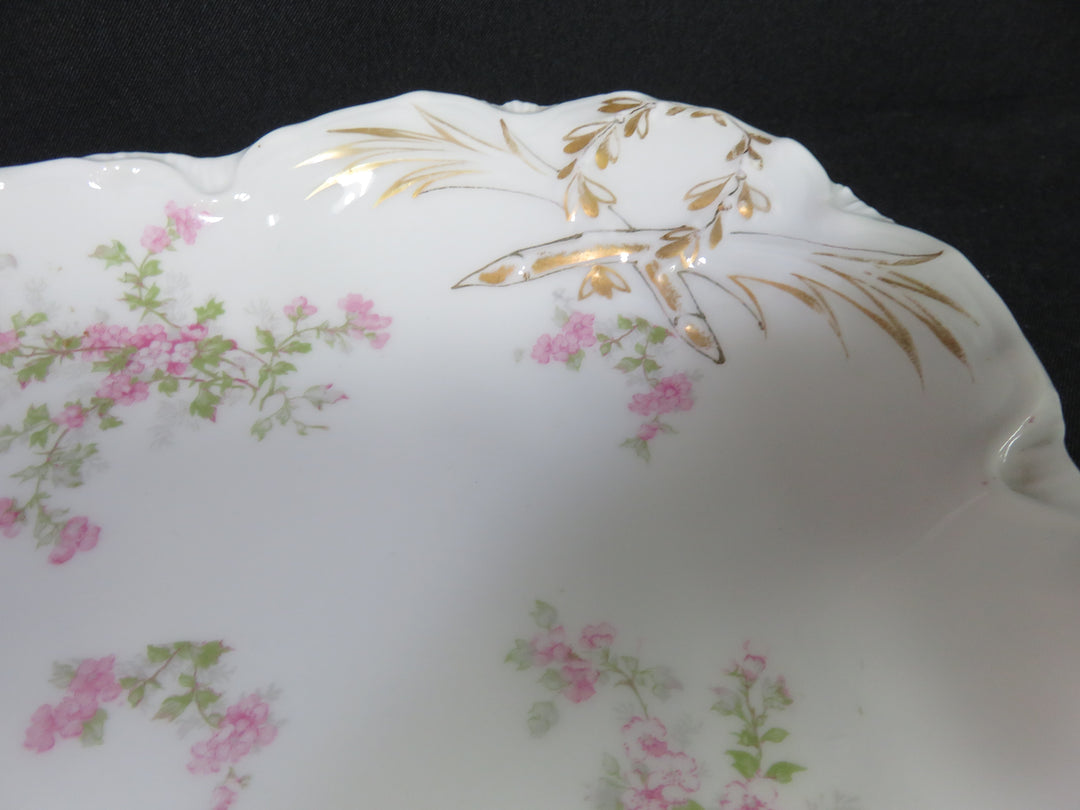 Haviland Limoges Platter