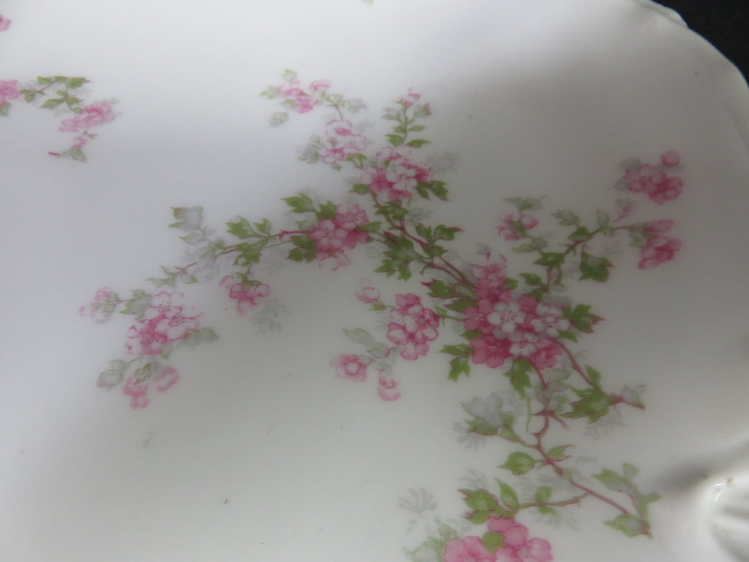 Haviland Limoges Platter