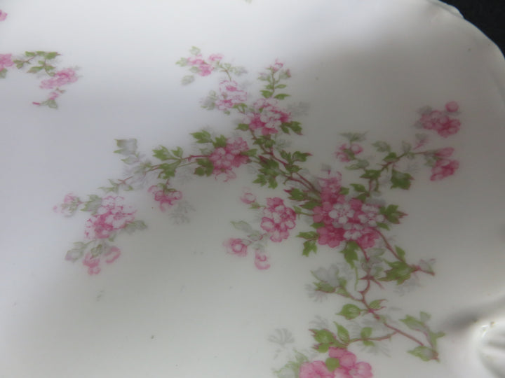 Haviland Limoges Platter