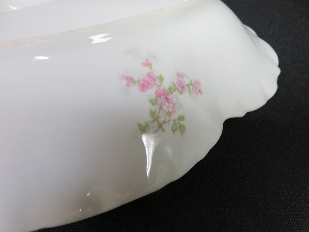 Haviland Limoges Platter
