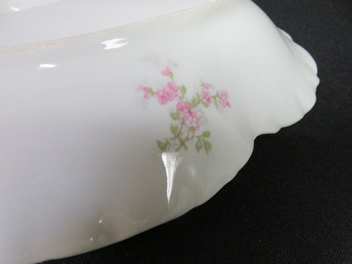 Haviland Limoges Platter