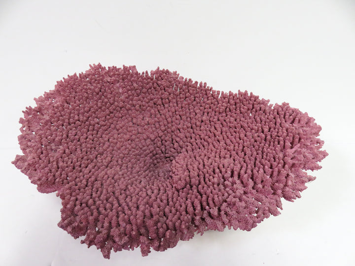 Mauve Coral Sculpture