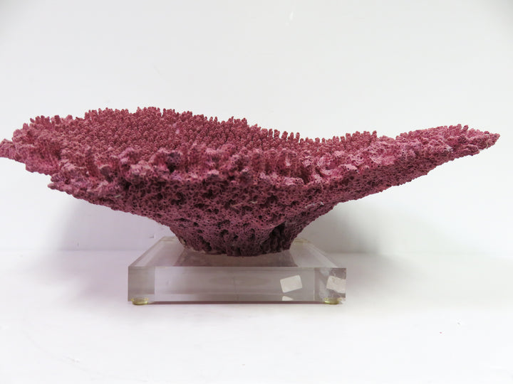 Mauve Coral Sculpture