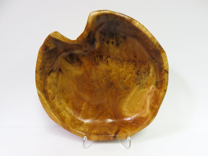 Freeform Burl Wood Tray