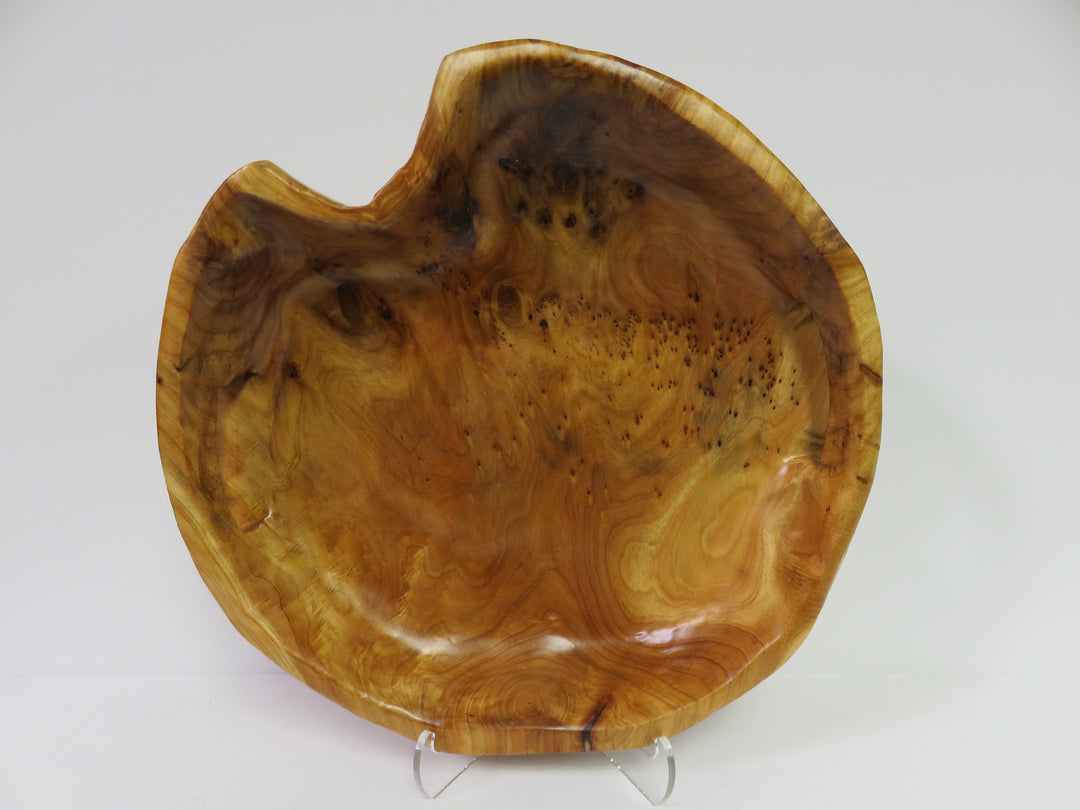 Freeform Burl Wood Tray