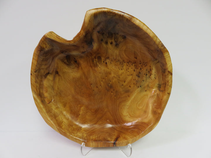 Freeform Burl Wood Tray
