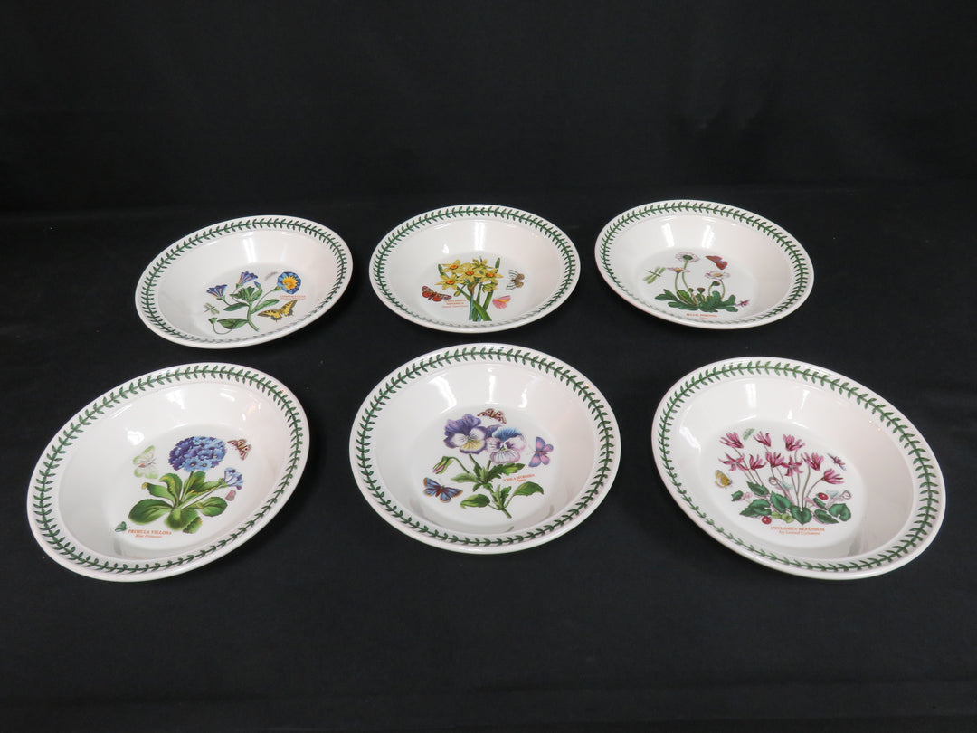 Portmeirion Soup Bowls