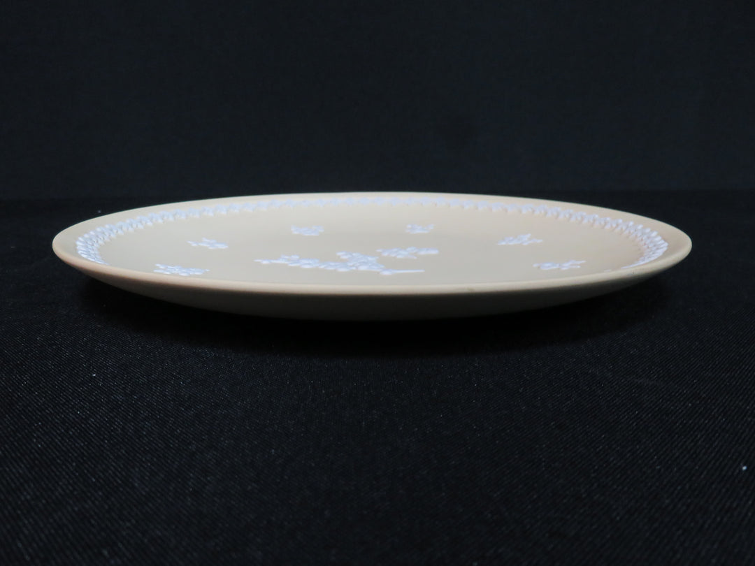 Wedgwood Decorative Plate