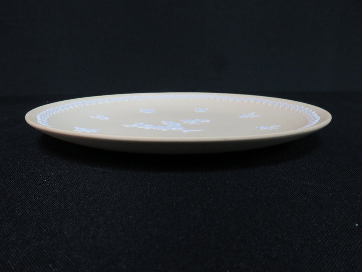 Wedgwood Decorative Plate