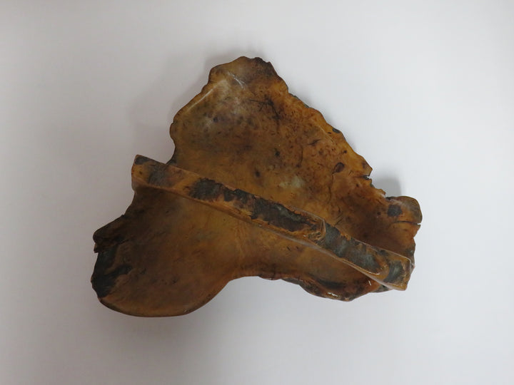 Burled Wood Basket