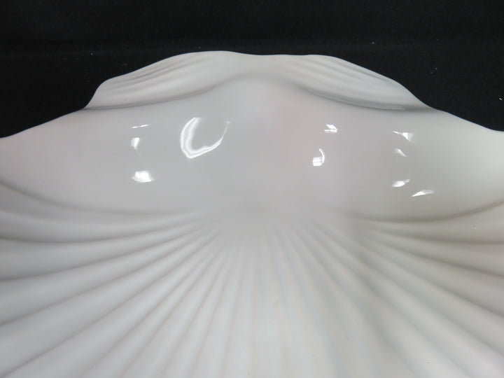Neuwirth Shell Dish