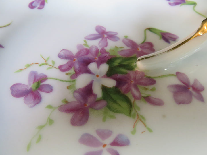 Occupied Japan Dish
