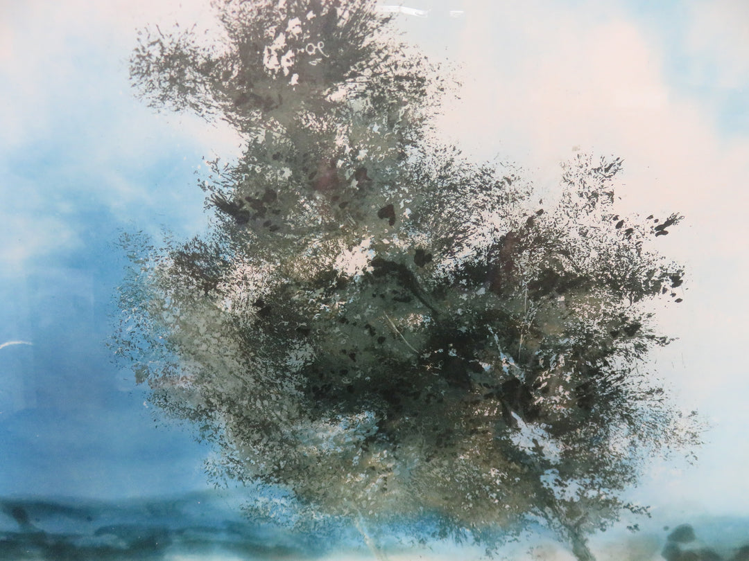 Tree with Birds Aquatint