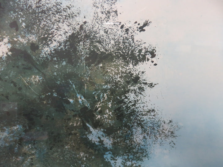 Tree with Birds Aquatint