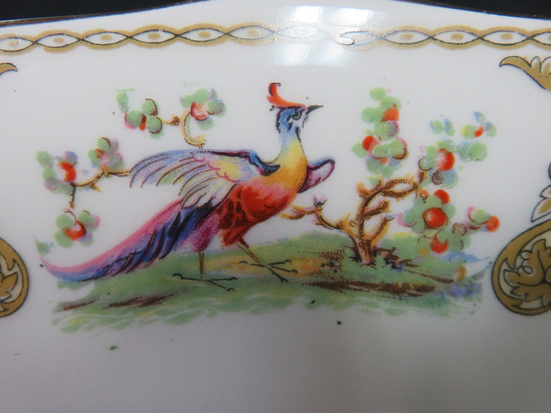 Staffordshire Myotts Platter