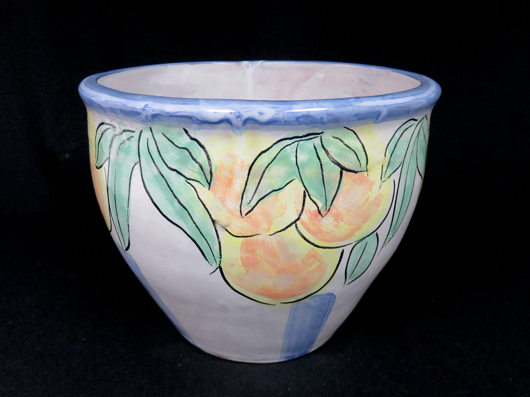 Pottery Planter