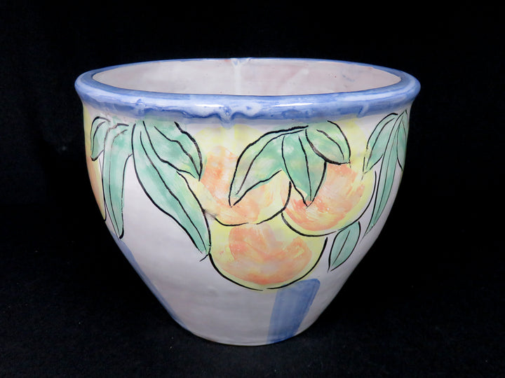 Pottery Planter