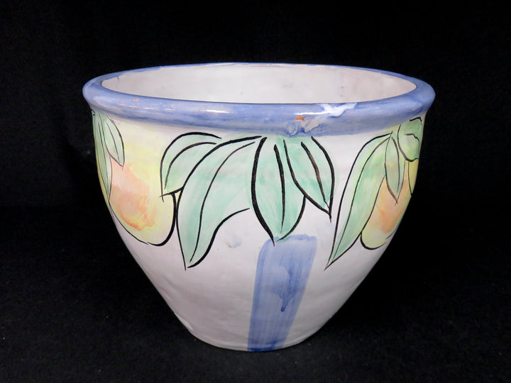 Pottery Planter