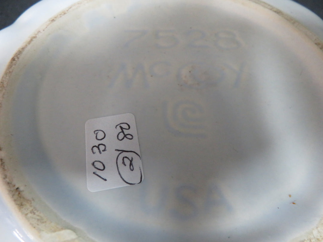 McCoy Wash Basin