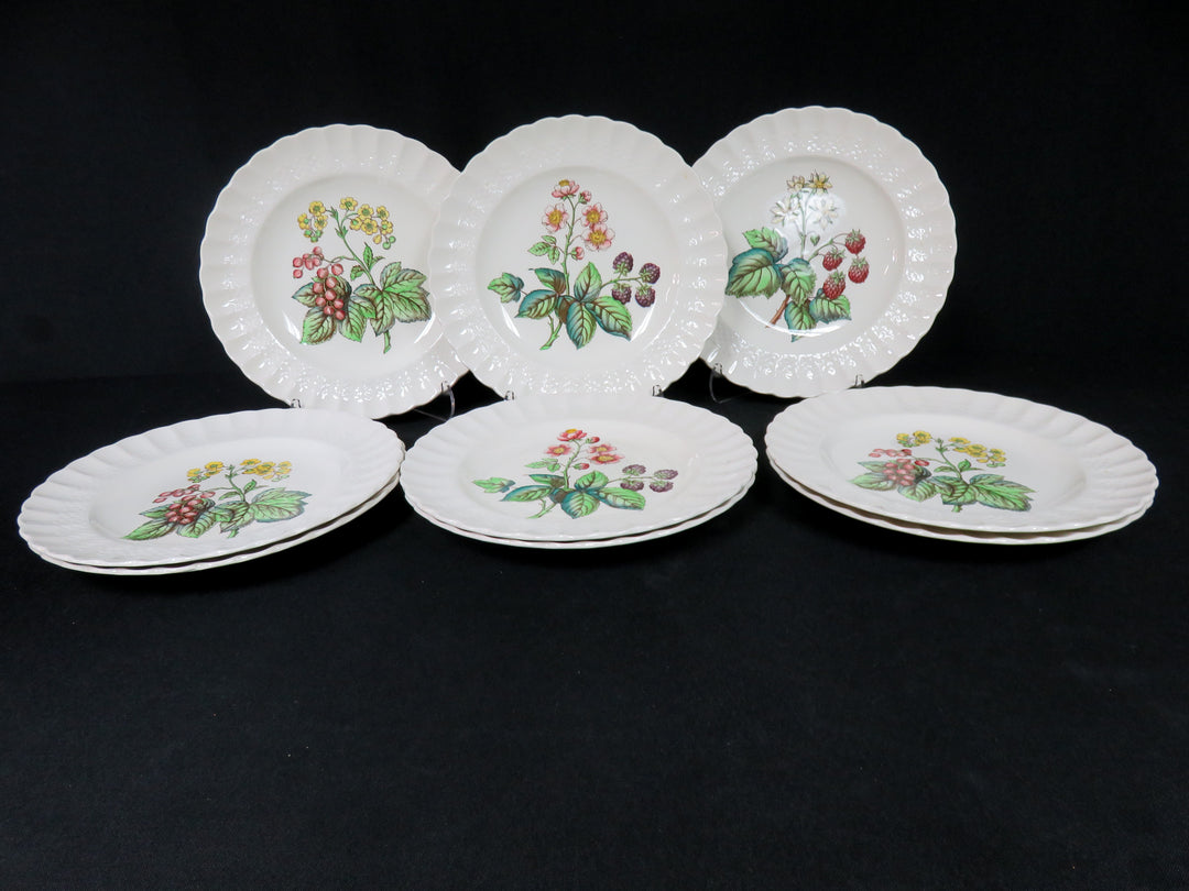 Spode Salad Plate Set