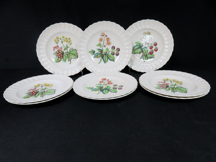Spode Salad Plate Set