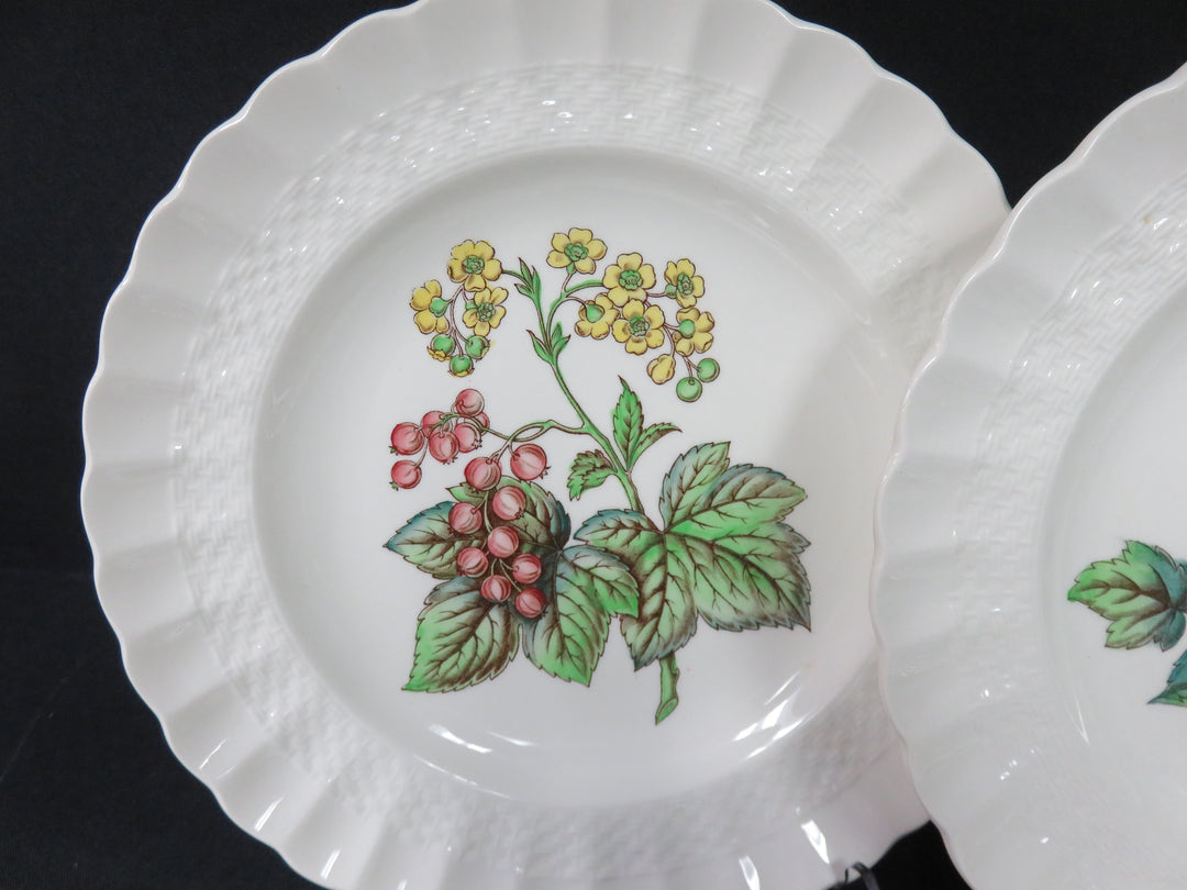 Spode Salad Plate Set