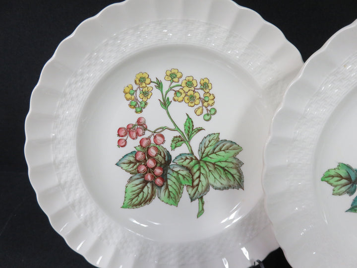 Spode Salad Plate Set