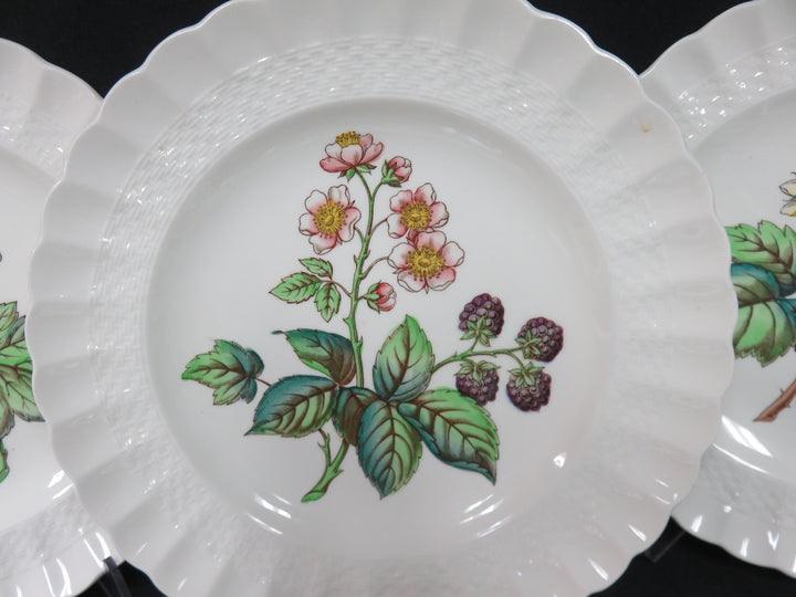 Spode Salad Plate Set