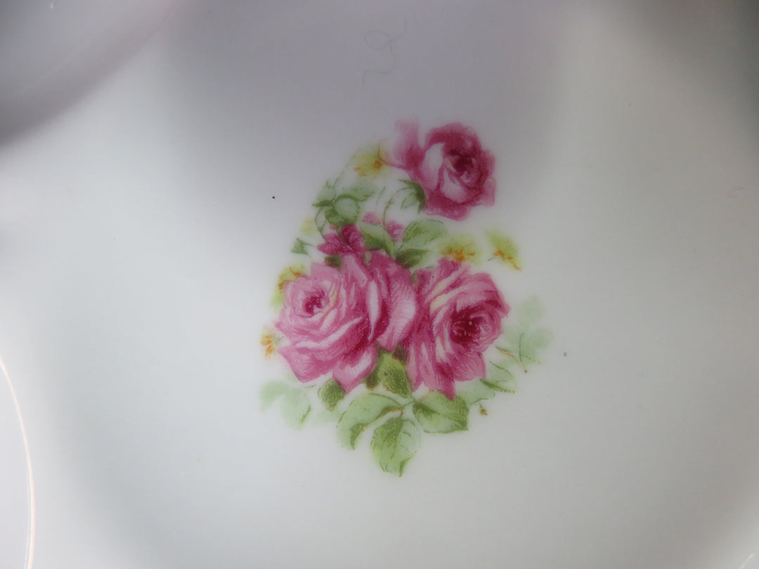 Set of 5 Oyster Plates