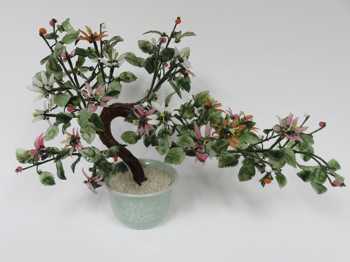 Vintage Bonsai Jade Tree