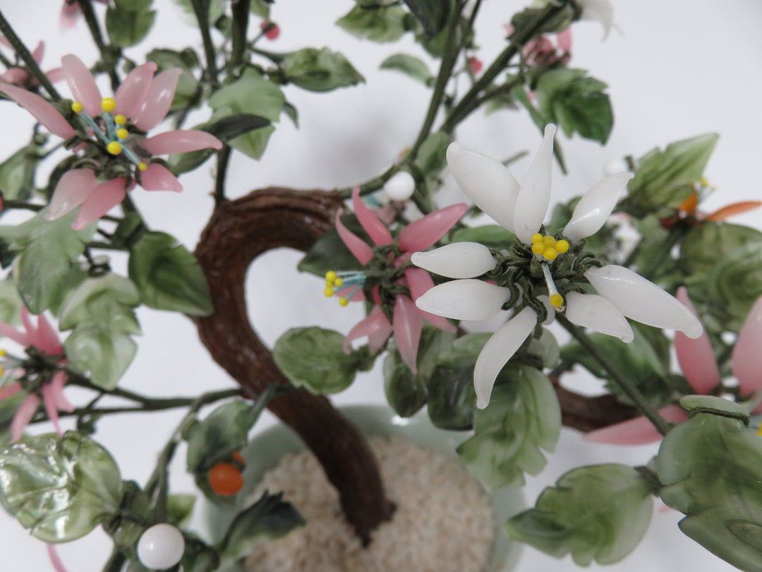 Vintage Bonsai Jade Tree