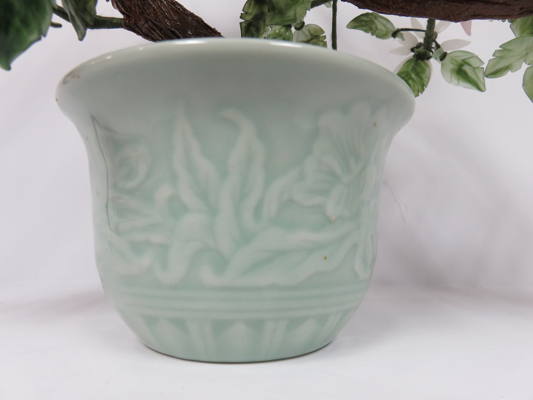 Vintage Bonsai Jade Tree