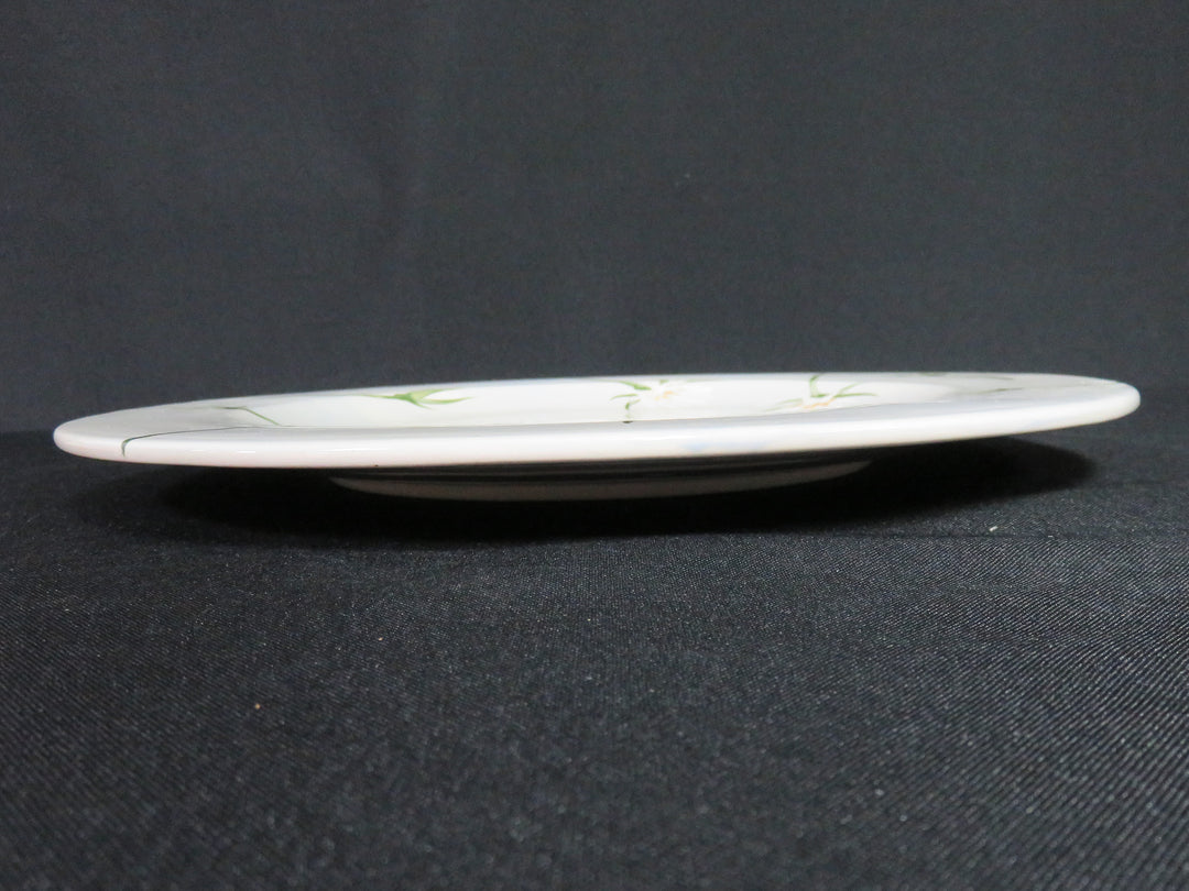 Hand Painted Serving Plate